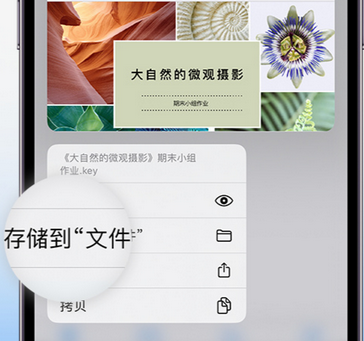 亚东apple维修中心分享iPhone文件应用中存储和找到下载文件