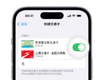 亚东apple维修点分享iPhone上更换Apple Pay快捷交通卡手绘卡面 