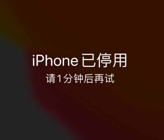 亚东苹果手机维修分享:iPhone 显示“不可用”或“已停用”怎么办？还能保留数据吗？ 