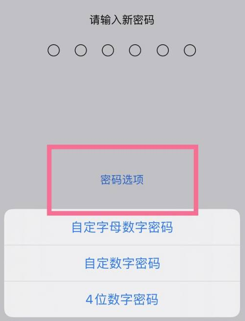 亚东苹果14维修分享iPhone 14plus设置密码的方法 