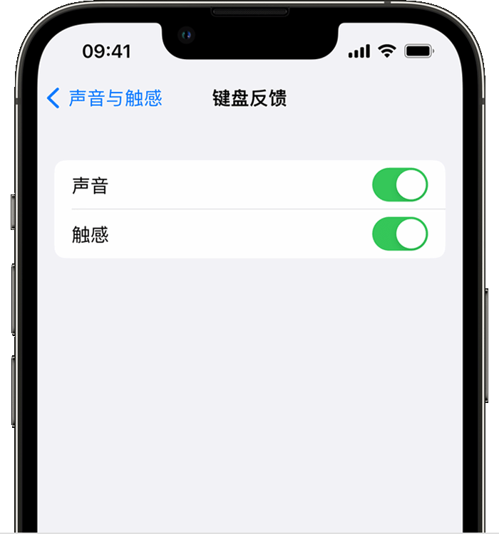 亚东苹果14维修分享iPhone 14 系列机型如何开启键盘声音或触感反馈 