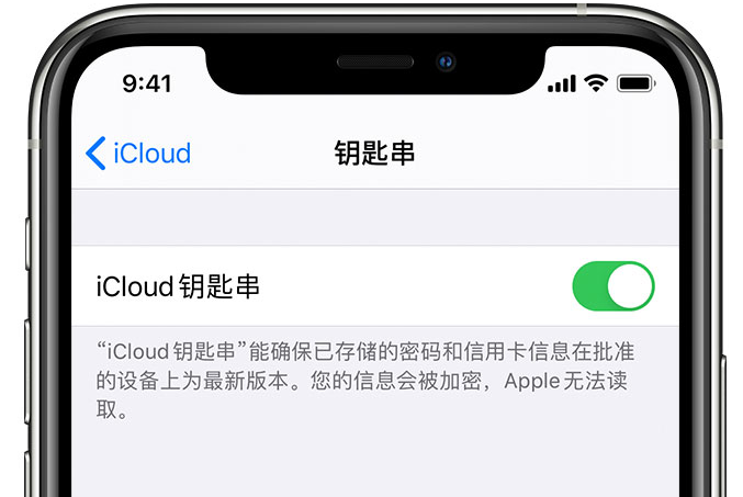 亚东苹果手机维修分享在 iPhone 上开启 iCloud 钥匙串之后会储存哪些信息 