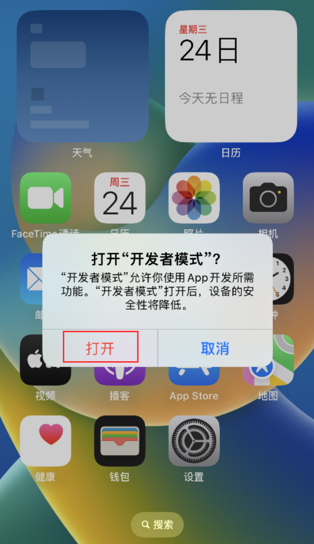 亚东苹果手机维修分享如何打开开发者模式 