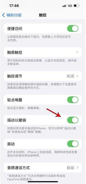 亚东苹果手机维修分享iPhone手机如何设置摇一摇删除文字 