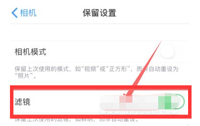 亚东苹果13维修分享iPhone13拍照有绿点是怎么回事 